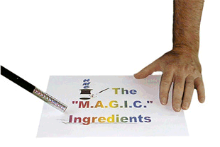 Magic Ingredients